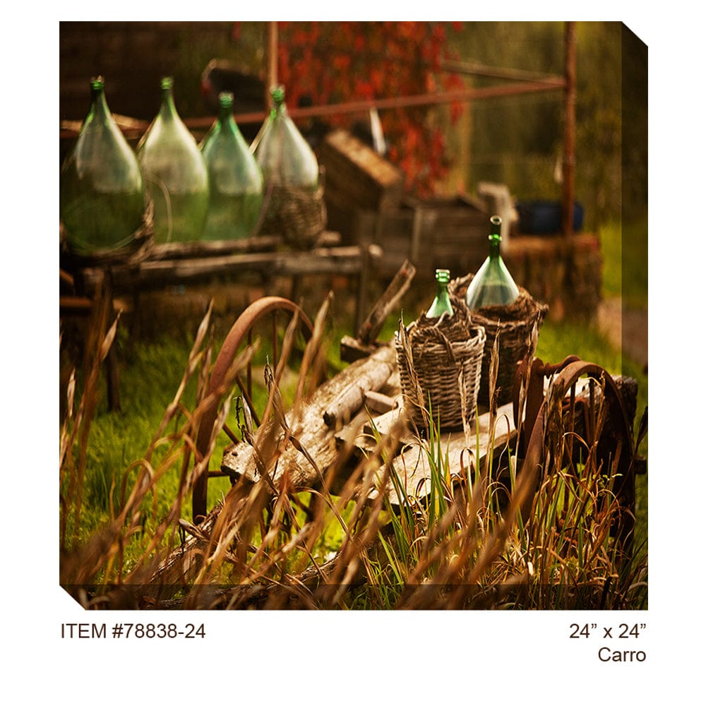 Carro Outdoor Canvas Art - Outdoorartpross