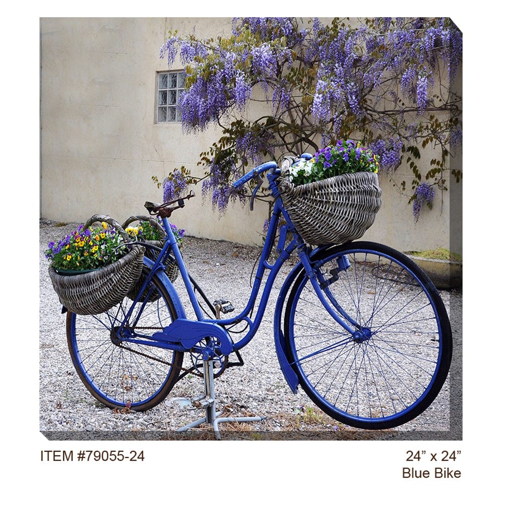 Blue Bike Outdoor Canvas Art - Outdoorartpross