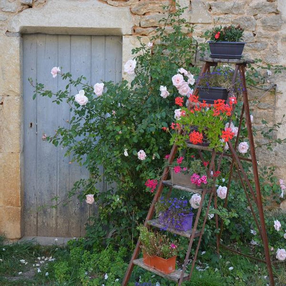 Vintage Ladder Outdoor Canvas Art - Outdoorartpross