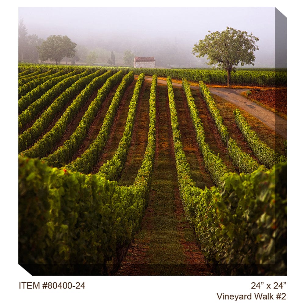 Vineyard Walk #2 Outdoor Canvas Art - Outdoorartpross