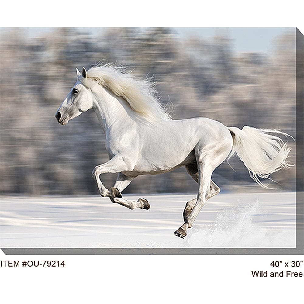 Wild and Free Outdoor Canvas Art - Outdoorartpross