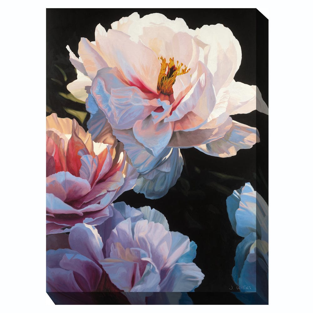 Blushing Beauty Outdoor Canvas Art - Outdoorartpross