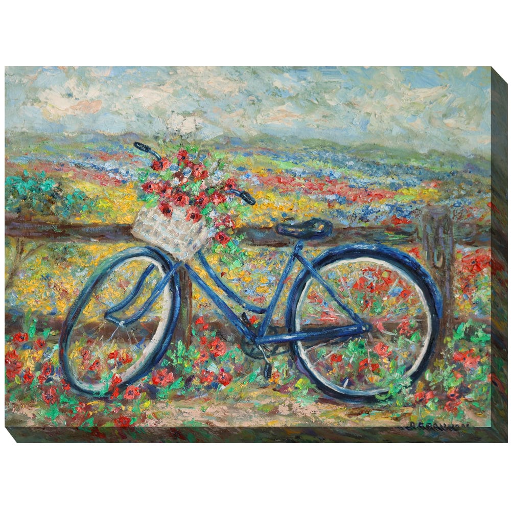 Country Bike Outdoor Art - Outdoorartpross
