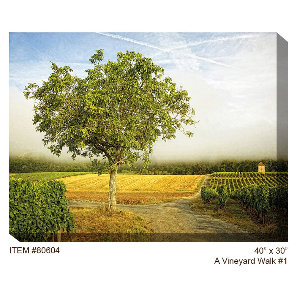 A Vineyard Walk #1 Outdoor Canvas Art - Outdoorartpross