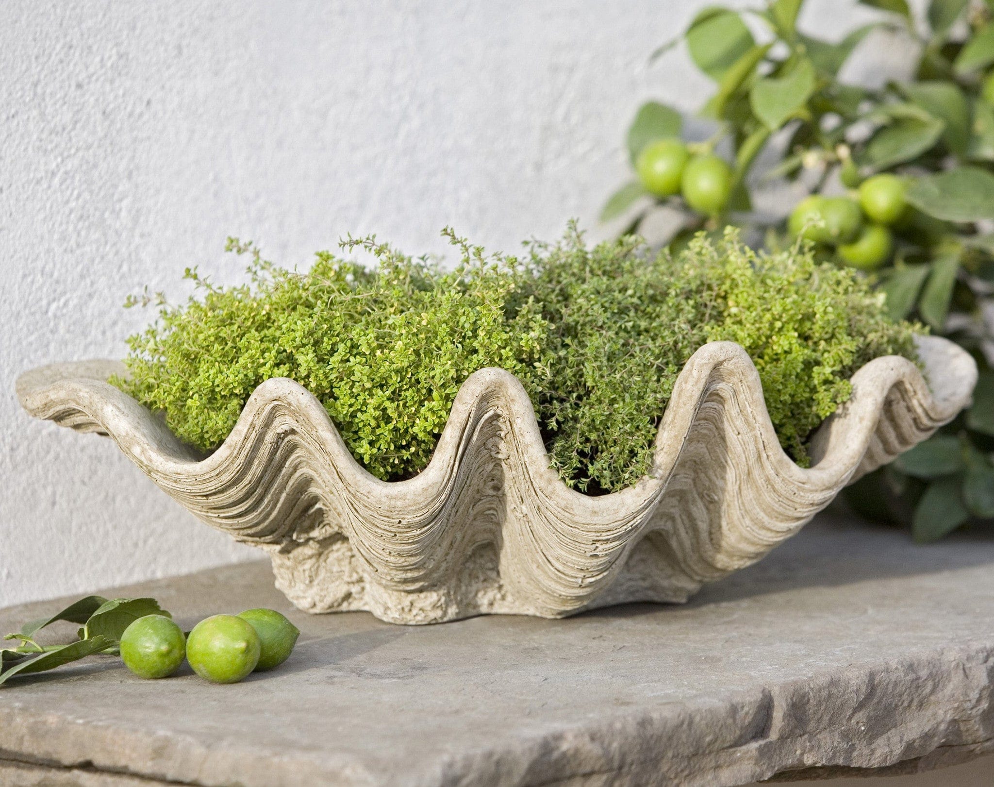 South Seas Garden Planter - Outdoorartpross