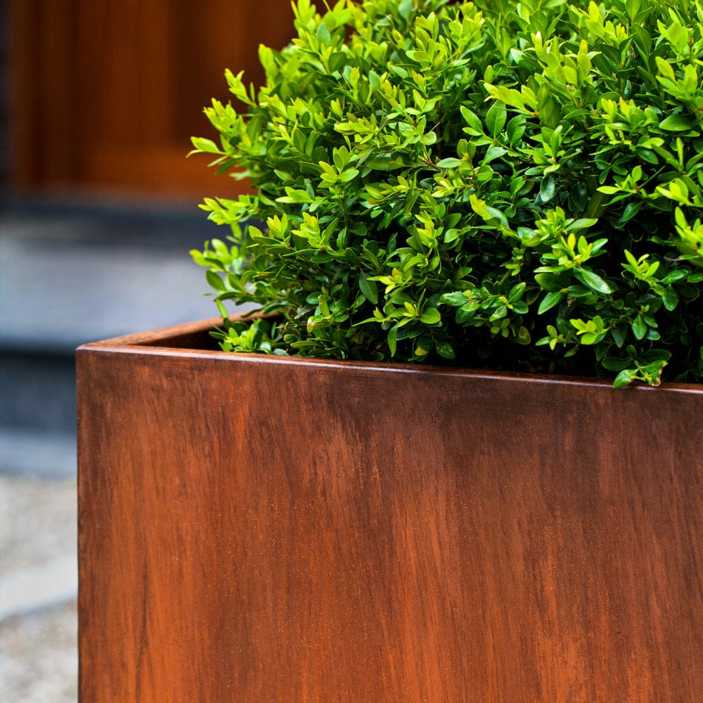 Steel Tall Cube Planter Set of 2 | Lightweight Steel Collection