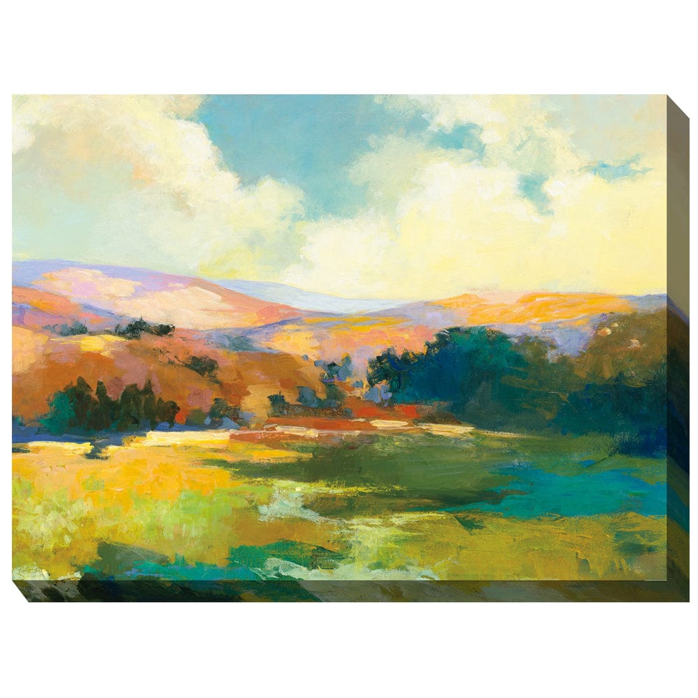Valley of Light Outdoor Canvas Art - Outdoorartpross