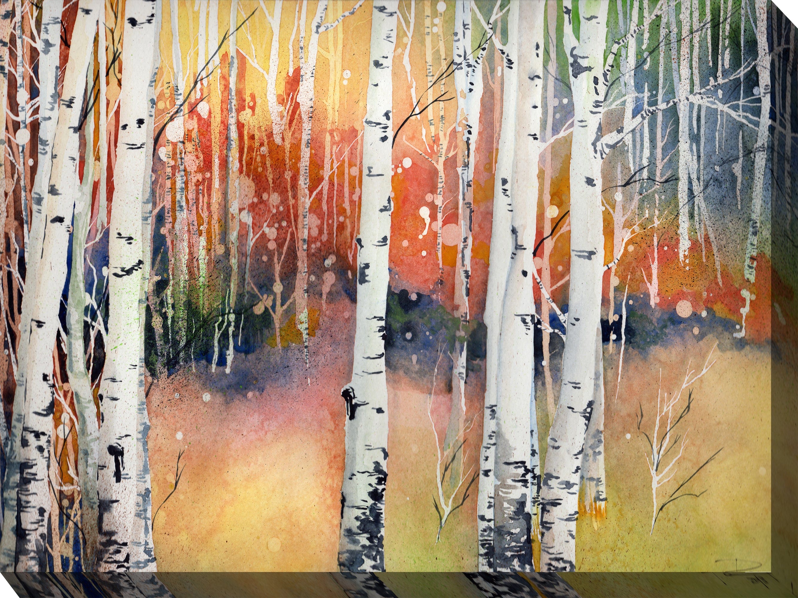 Colorado Aspens Outdoor Canvass Art -  Outdoorartpross